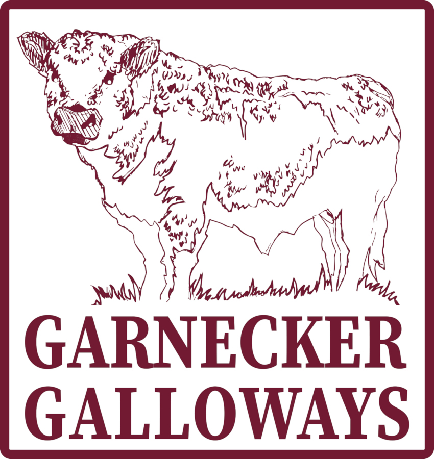 GARNECKER