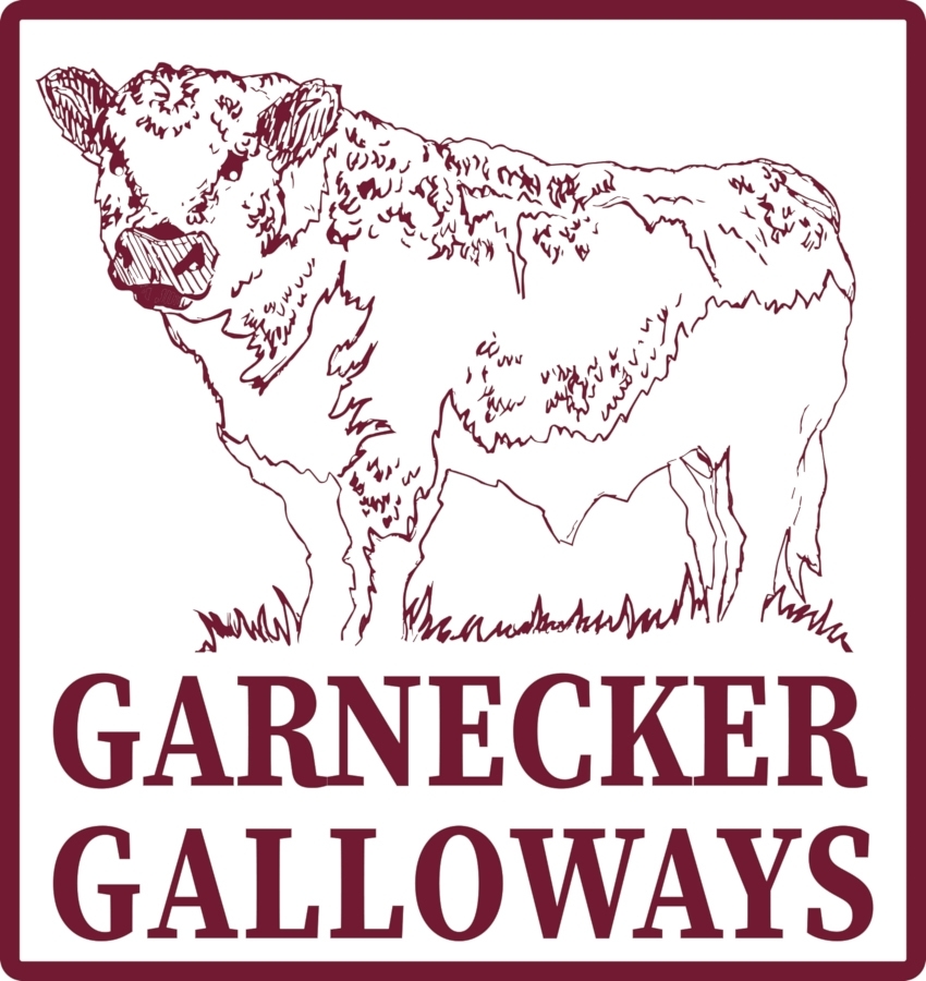 GARNECKER GALLOWAYS BBQ 6,2 kg