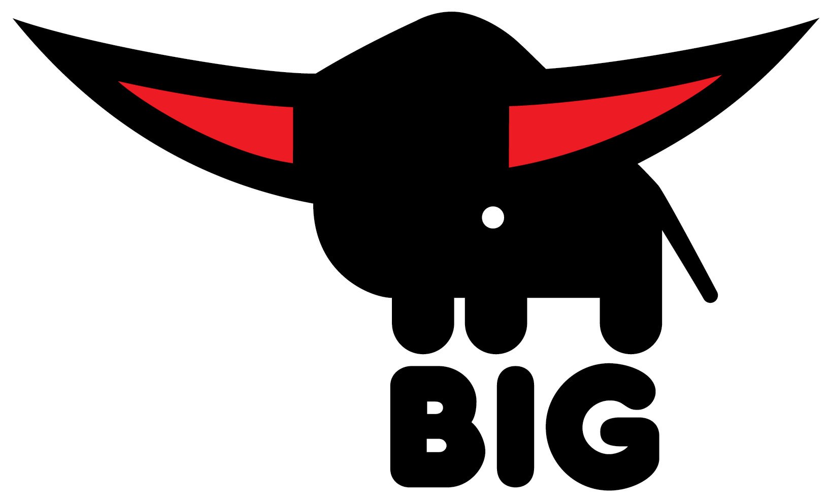 BIG BIG