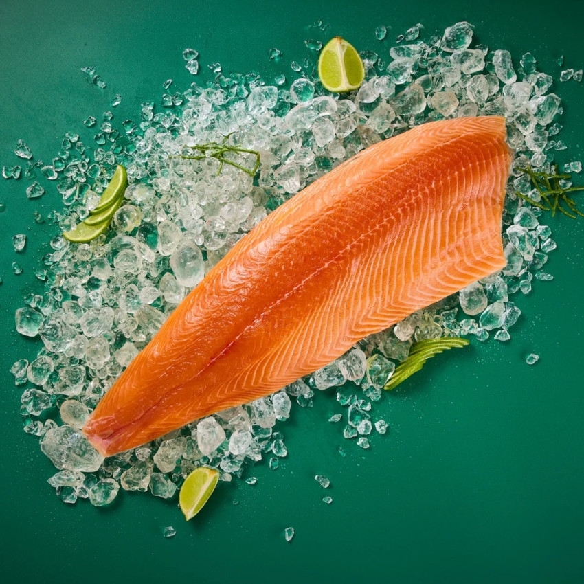 BLU FOOD ROHbert frisches Lachsfilet - 1100 g