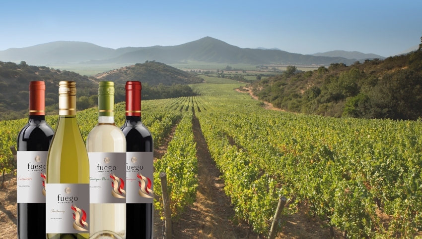Wein Highlights Chile