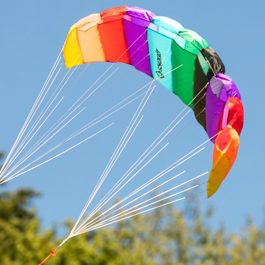 SCHILDKRÖT Dual Line Sport Kite 1.6