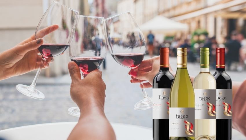 Wein Highlights Chile