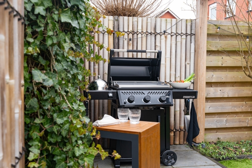 NAPOLEON Freestyle 24 Plancha, schwarz